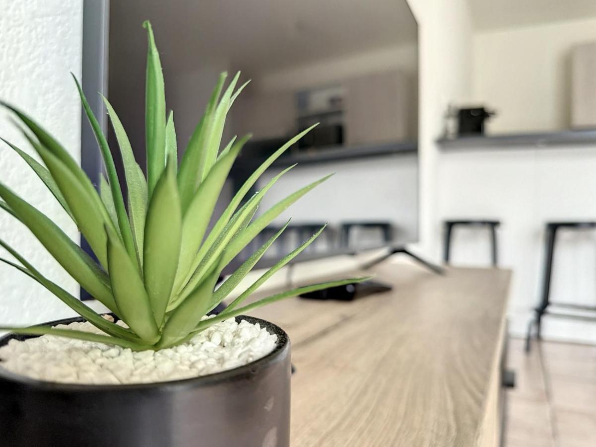 Apartment Gare Proche Geneve Annemasse